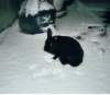 _strndlientdecktdenschnee_small.jpg